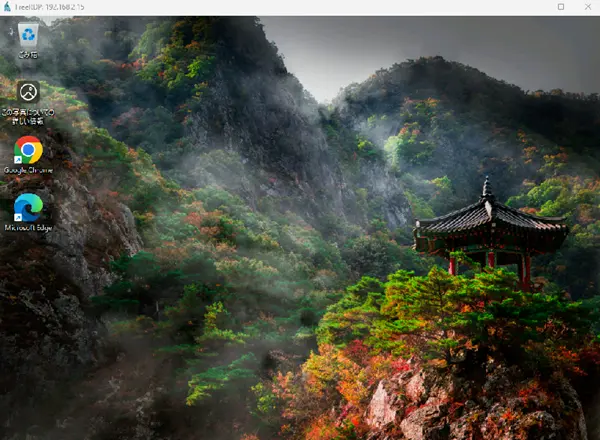 Dante接続時のFreeRDP画面